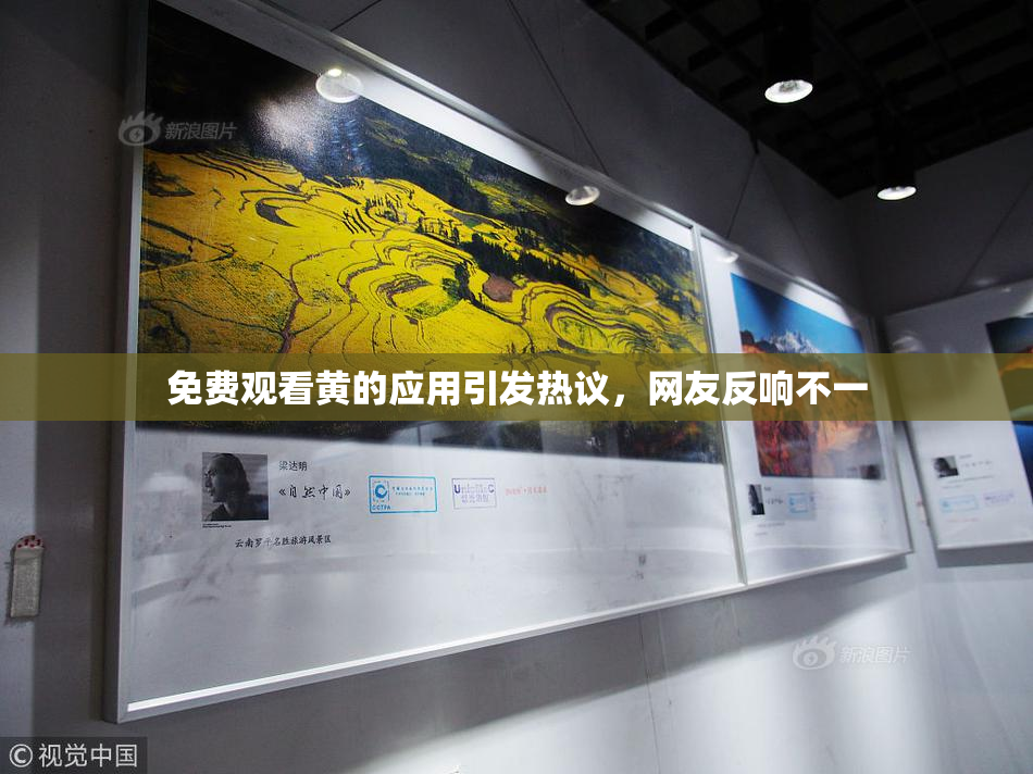 免费观看黄的应用引发热议，网友反响不一
