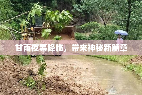 甘雨夜幕降临，带来神秘新篇章