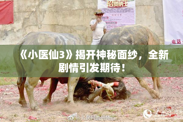 《小医仙3》揭开神秘面纱，全新剧情引发期待！