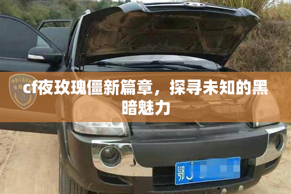 cf夜玫瑰僵新篇章，探寻未知的黑暗魅力