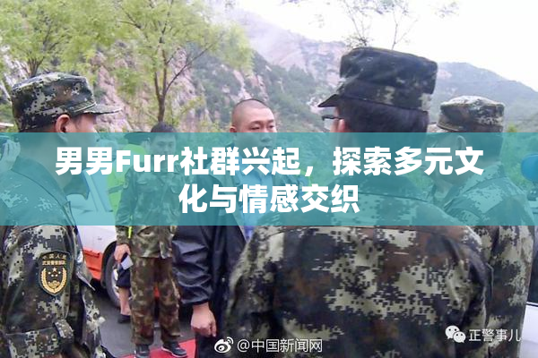 男男Furr社群兴起，探索多元文化与情感交织