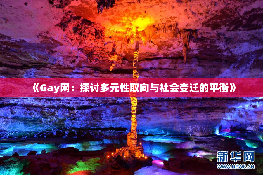 《Gay网：探讨多元性取向与社会变迁的平衡》