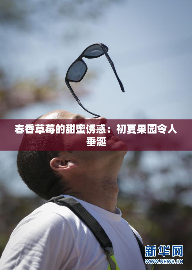 春香草莓的甜蜜诱惑：初夏果园令人垂涎