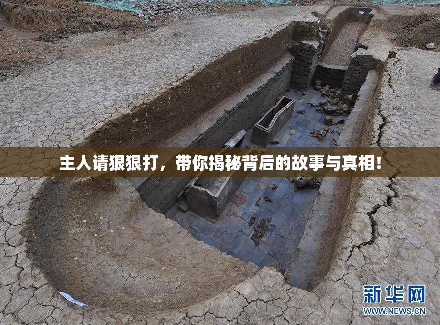 主人请狠狠打，带你揭秘背后的故事与真相！