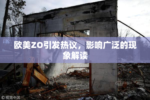 欧美ZO引发热议，影响广泛的现象解读