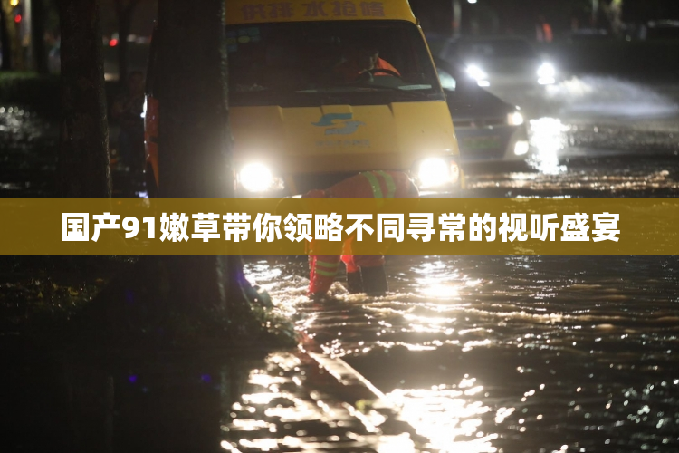 国产91嫩草带你领略不同寻常的视听盛宴
