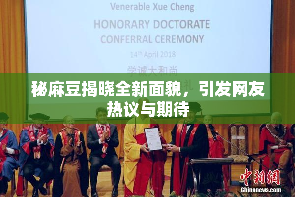 秘麻豆揭晓全新面貌，引发网友热议与期待