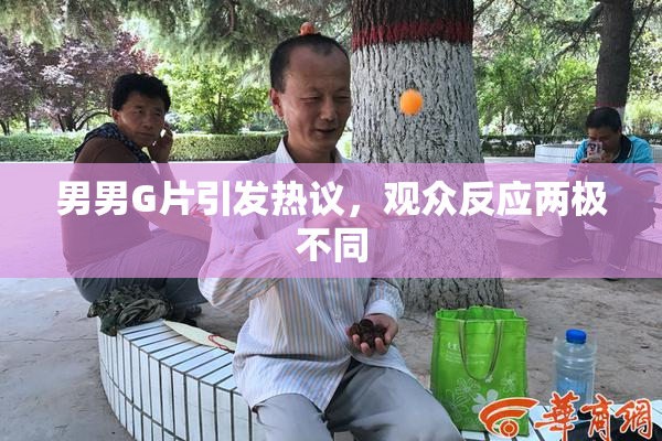 男男G片引发热议，观众反应两极不同