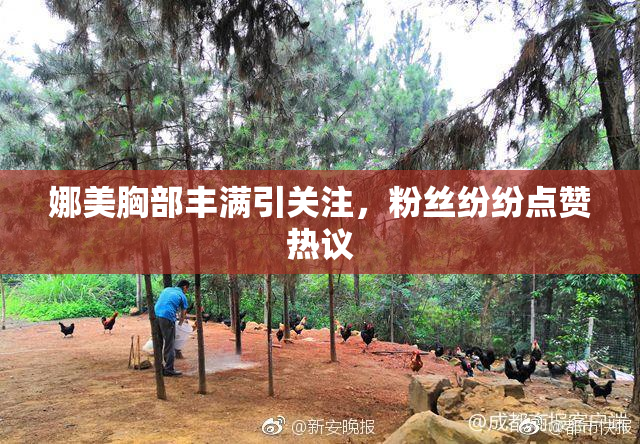 娜美胸部丰满引关注，粉丝纷纷点赞热议