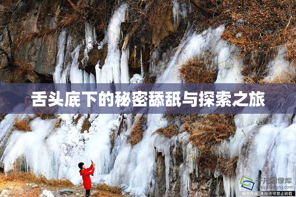 舌头底下的秘密舔舐与探索之旅
