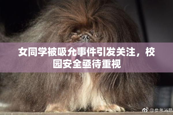 女同学被吸允事件引发关注，校园安全亟待重视