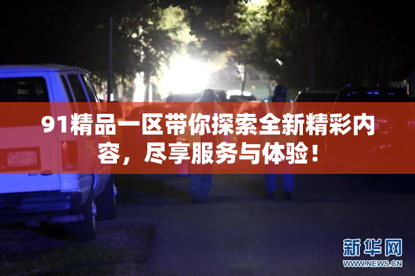 91精品一区带你探索全新精彩内容，尽享服务与体验！