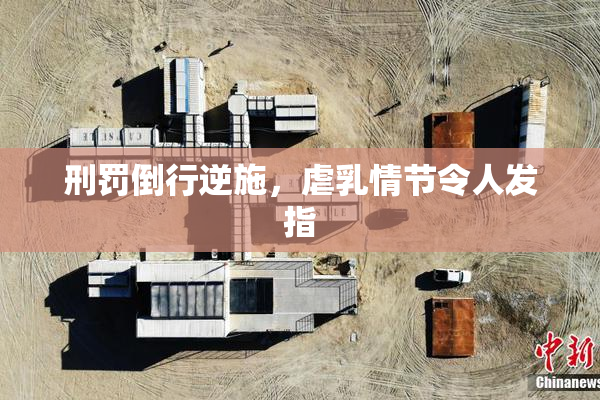 刑罚倒行逆施，虐乳情节令人发指