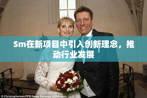 Sm在新项目中引入创新理念，推动行业发展