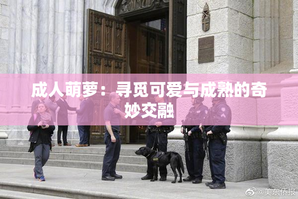 成人萌萝：寻觅可爱与成熟的奇妙交融
