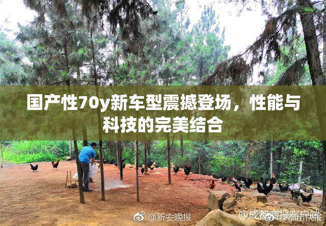 国产性70y新车型震撼登场，性能与科技的完美结合