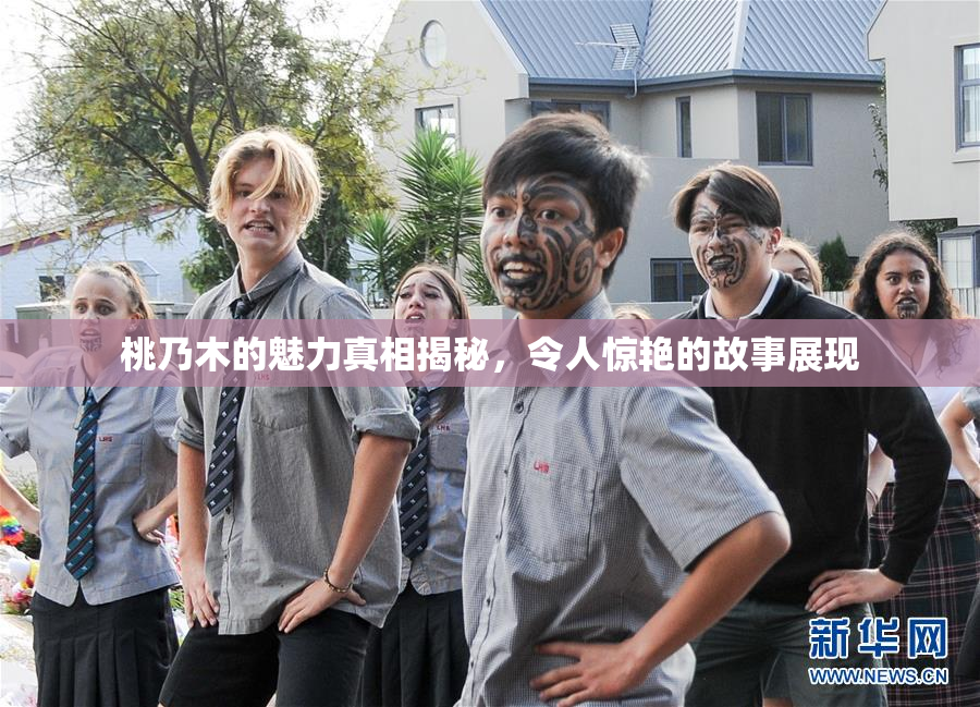 桃乃木的魅力真相揭秘，令人惊艳的故事展现