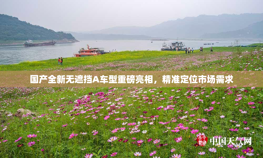 国产全新无遮挡A车型重磅亮相，精准定位市场需求