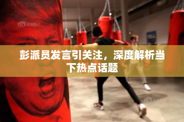 彭派员发言引关注，深度解析当下热点话题