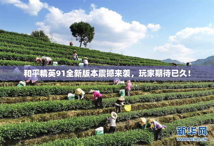 和平精英91全新版本震撼来袭，玩家期待已久！