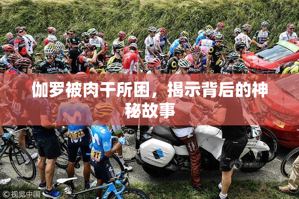 伽罗被肉干所困，揭示背后的神秘故事