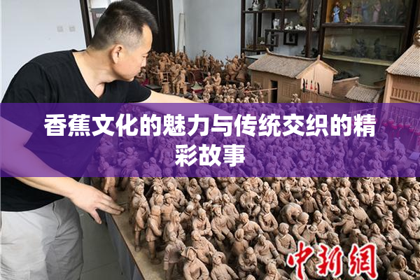 香蕉文化的魅力与传统交织的精彩故事