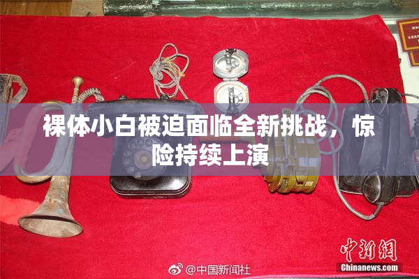 裸体小白被迫面临全新挑战，惊险持续上演