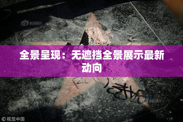 全景呈现：无遮挡全景展示最新动向