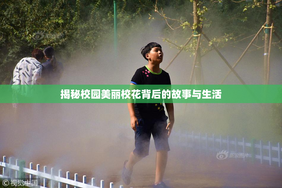 揭秘校园美丽校花背后的故事与生活