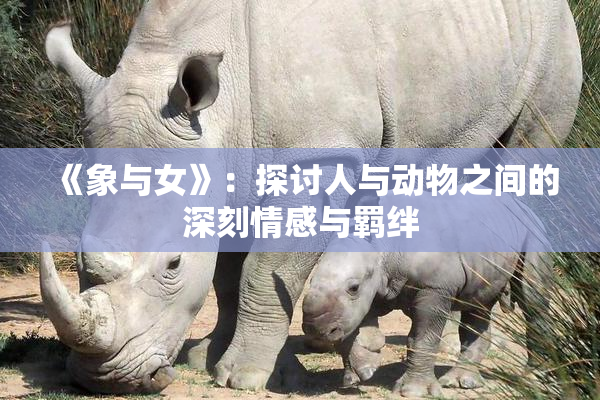 《象与女》：探讨人与动物之间的深刻情感与羁绊