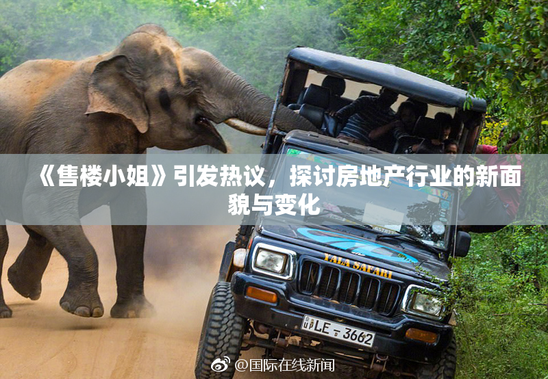 《售楼小姐》引发热议，探讨房地产行业的新面貌与变化