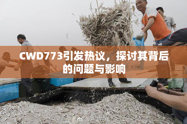 CWD773引发热议，探讨其背后的问题与影响