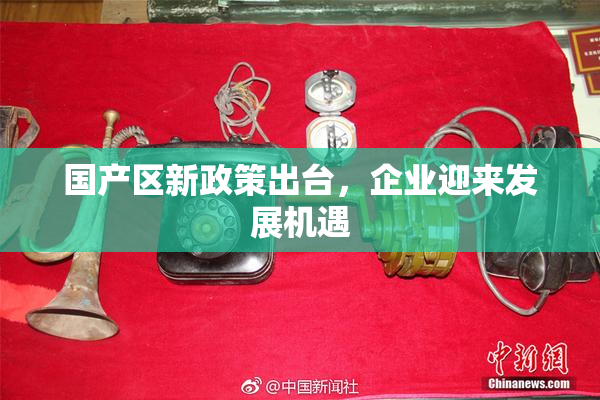 国产区新政策出台，企业迎来发展机遇