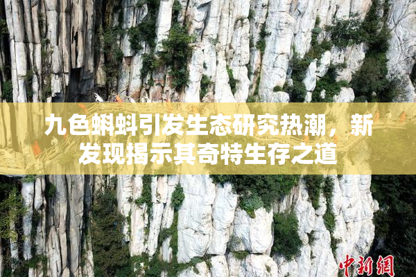 九色蝌蚪引发生态研究热潮，新发现揭示其奇特生存之道