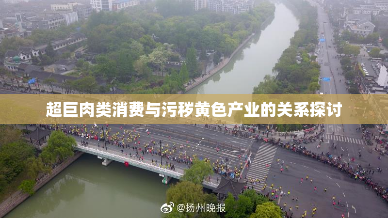 超巨肉类消费与污秽黄色产业的关系探讨