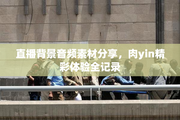 直播背景音频素材分享，肉yin精彩体验全记录