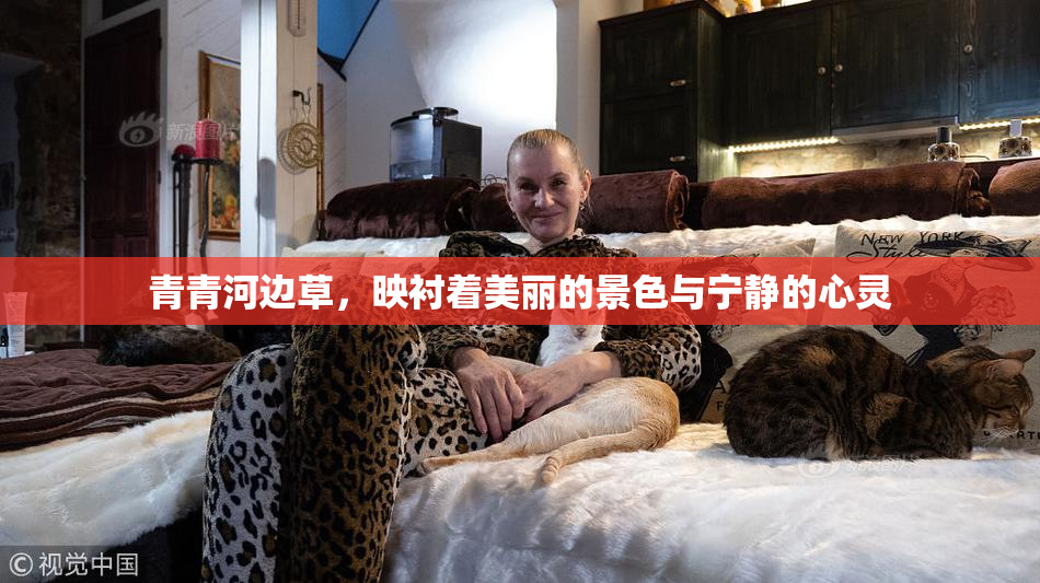 青青河边草，映衬着美丽的景色与宁静的心灵