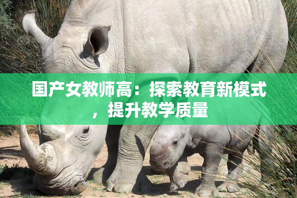 国产女教师高：探索教育新模式，提升教学质量