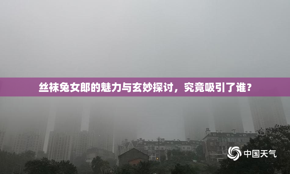 丝袜兔女郎的魅力与玄妙探讨，究竟吸引了谁？