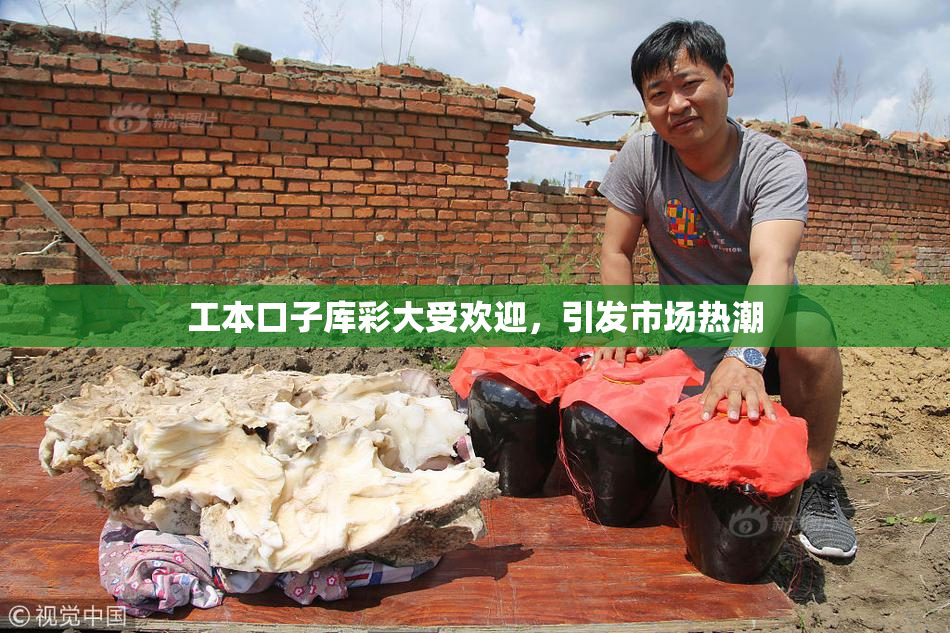 工本口子库彩大受欢迎，引发市场热潮