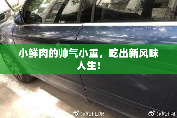 小鲜肉的帅气小重，吃出新风味人生！