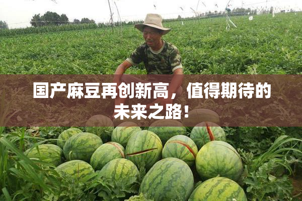 国产麻豆再创新高，值得期待的未来之路！