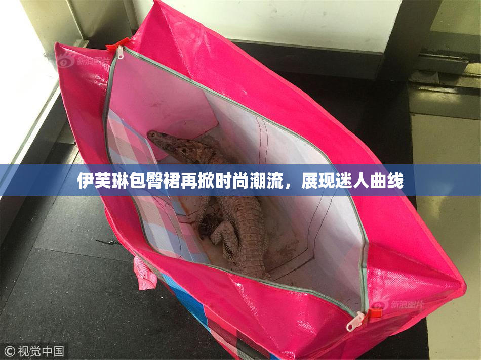 伊芙琳包臀裙再掀时尚潮流，展现迷人曲线