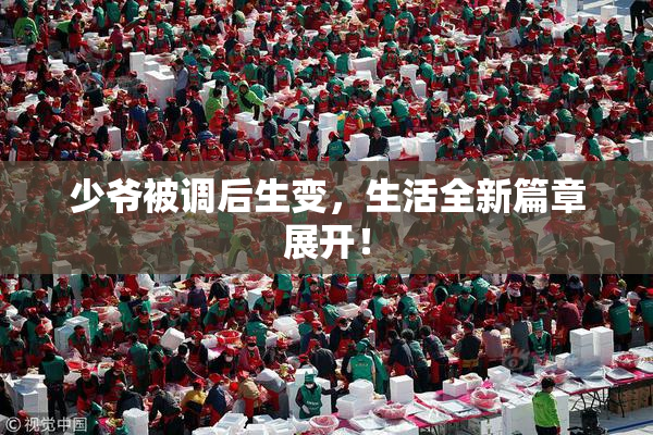 少爷被调后生变，生活全新篇章展开！