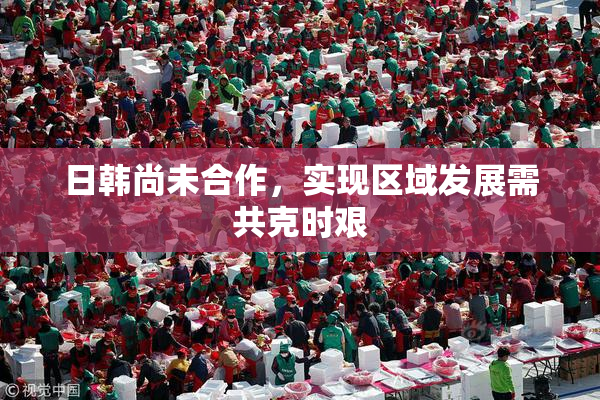 日韩尚未合作，实现区域发展需共克时艰
