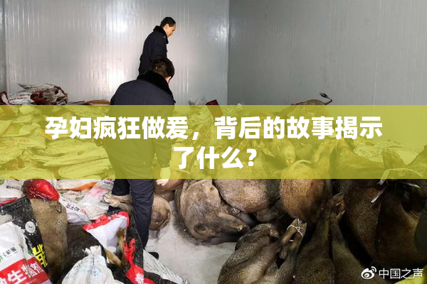 孕妇疯狂做爰，背后的故事揭示了什么？