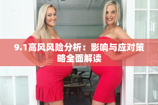 9.1高风风险分析：影响与应对策略全面解读
