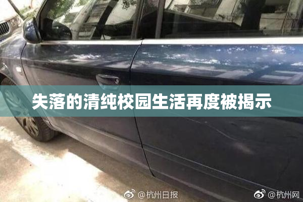 失落的清纯校园生活再度被揭示