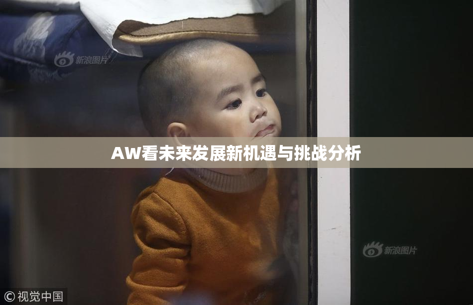 AW看未来发展新机遇与挑战分析