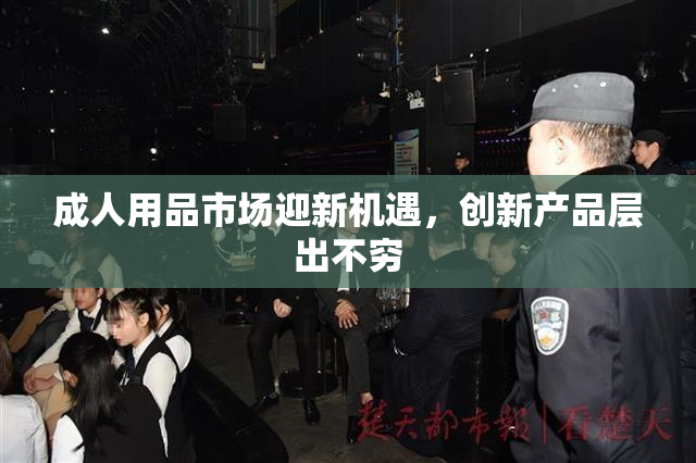 成人用品市场迎新机遇，创新产品层出不穷